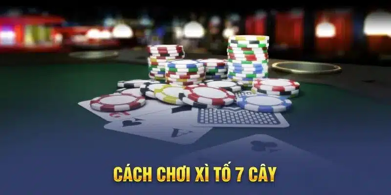 Tổng hợp các cách chơi xì tố 7 cây cho cược thủ mới