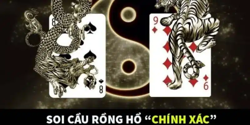 Khám phá các cách soi cầu rồng hổ hiệu quả