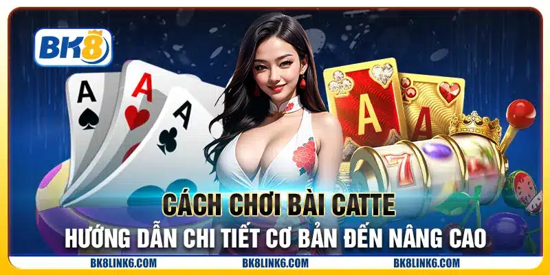 Cách chơi bài Catte: Hướng dẫn chi tiết cơ bản đến nâng cao