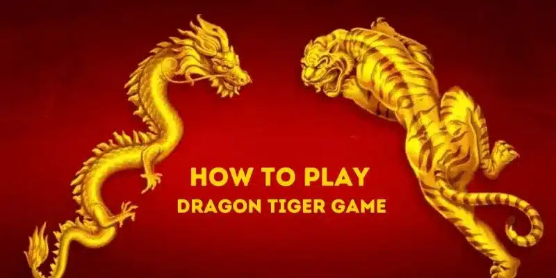 Lợi ích và hạn chế khi chơi dragon tiger