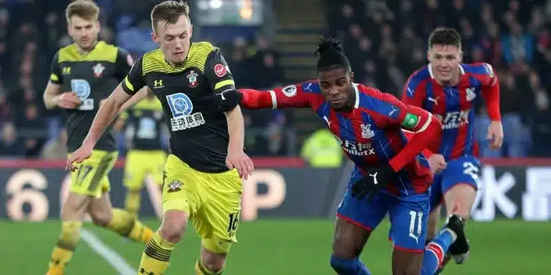 Khám phá nhận định Crystal Palace vs Southampton