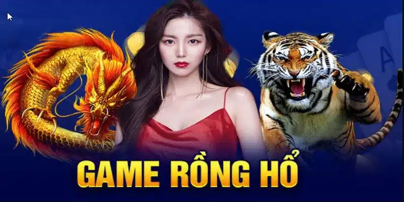 Kinh nghiệm chơi Dragon Tiger cho người mới