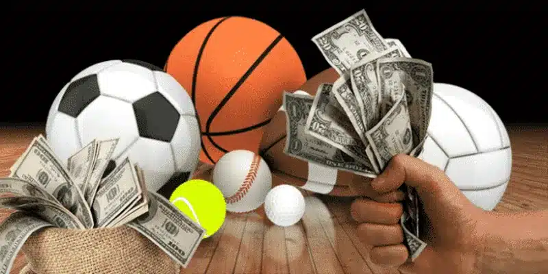 Mẹo chơi cá cược hiệu quả 2024