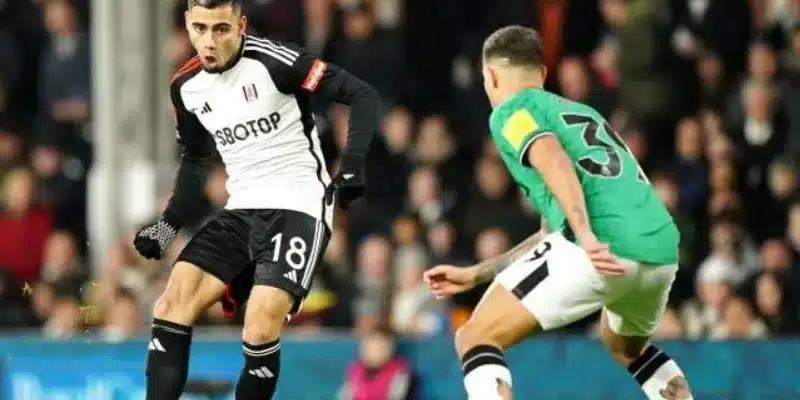 Dự báo tỷ số và cục diện trận đấu Newcastle vs Fulham ngày 01/02/2025