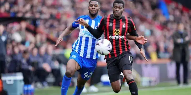 Nhận định về kèo cược trận Brighton vs Bournemouth
